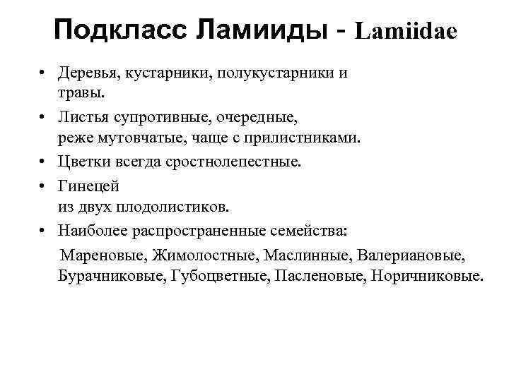  Подкласс Ламииды - Lamiidae • Деревья, кустарники, полукустарники и  травы.  •