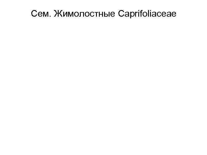 Сем. Жимолостные Caprifoliaceae 