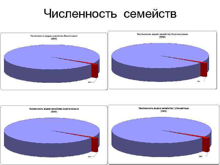 Численность семейств 