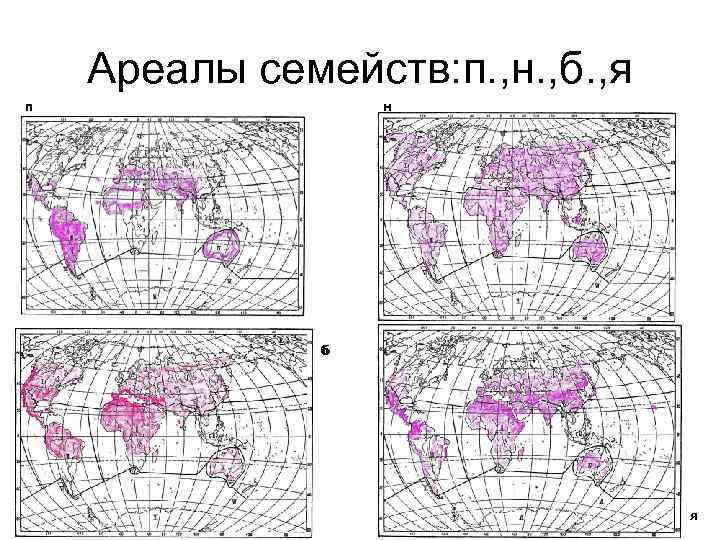   Ареалы семейств: п. , н. , б. , я п  