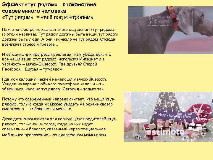 Эффект «тут-рядом» - спокойствие современного человека «Тут рядом»  = «всё под контролем» ,