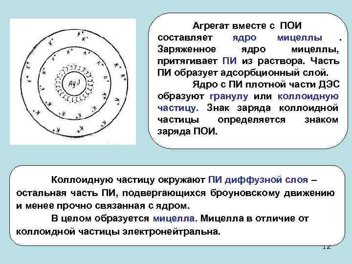 Укажите рисунок иллюстрирующий эффект тиндаля в коллоидном и истинном растворах