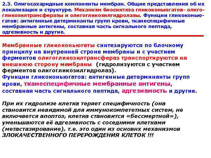 2. 3. Олигосахаридные компоненты мембран. Общие представления об их  локализации и структуре. Механизм