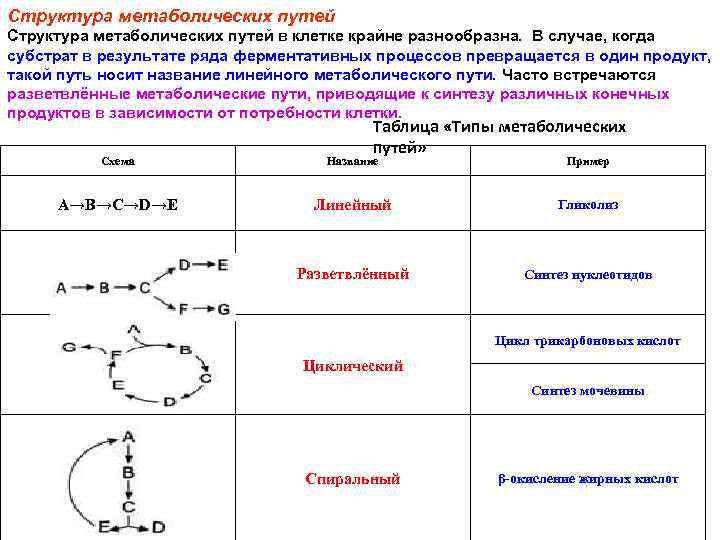 Схема метаболического пути