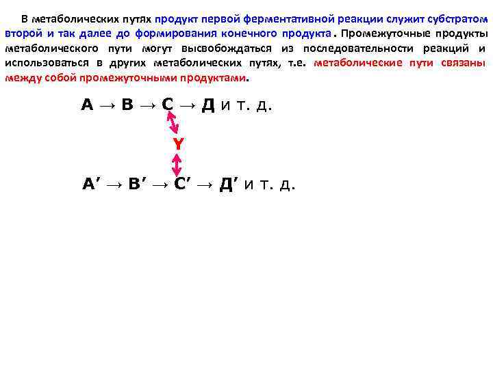   В метаболических путях продукт первой ферментативной реакции служит субстратом второй и так