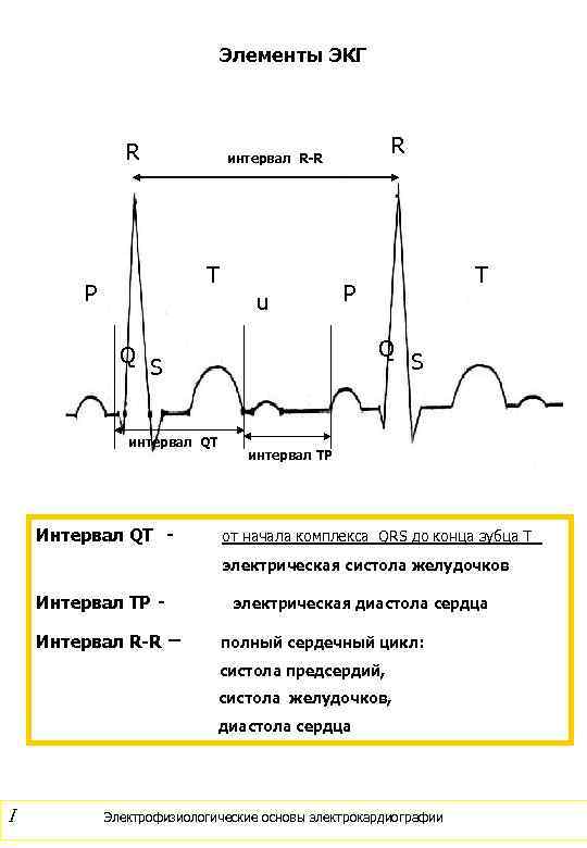       Элементы ЭКГ    R  