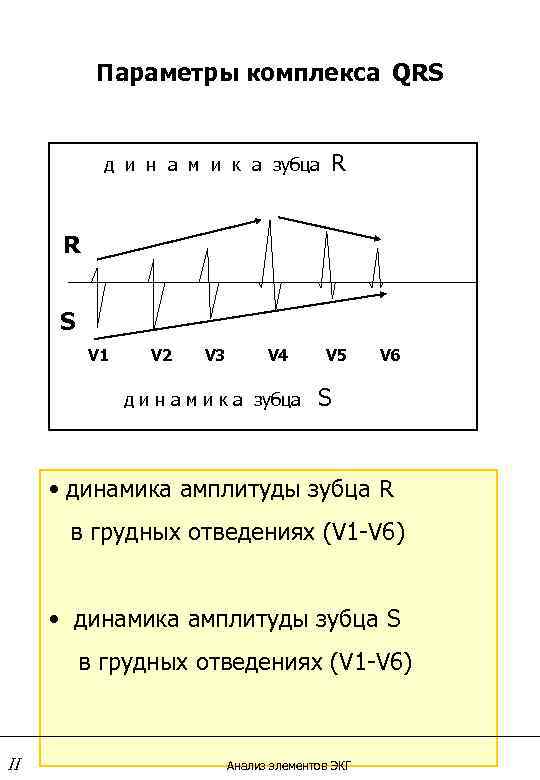   Параметры комплекса QRS   д и н а м и