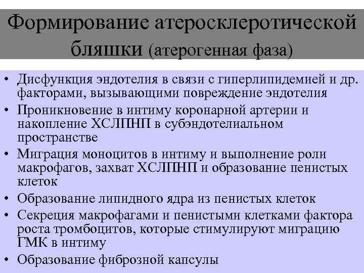 Формирование атеросклеротической бляшки (атерогенная фаза) • Дисфункция эндотелия в связи с гиперлипидемией и др.