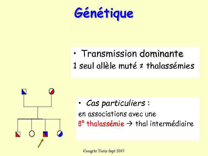 Génétique  • Transmission dominante 1 seul allèle muté ≠ thalassémies • Cas particuliers