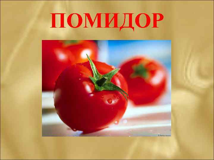 ПОМИДОР 