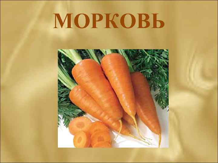 МОРКОВЬ 