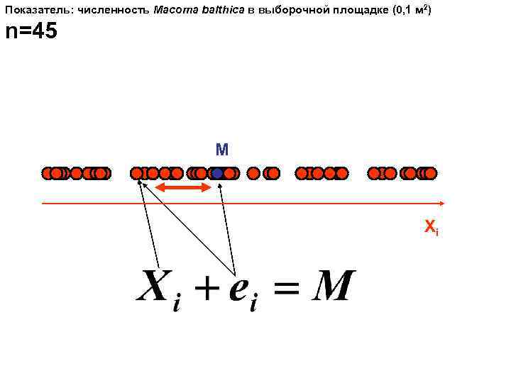 Показатель: численность Macoma balthica в выборочной площадке (0, 1 м 2) n=45  