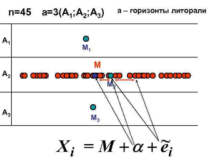  n=45  a=3(A 1; A 2; A 3)   a – горизонты
