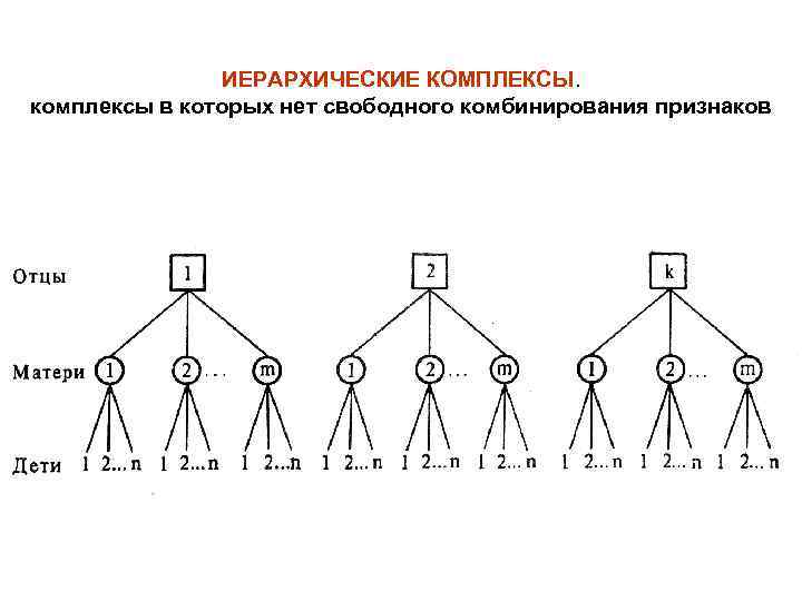     ИЕРАРХИЧЕСКИЕ КОМПЛЕКСЫ. комплексы в которых нет свободного комбинирования признаков 