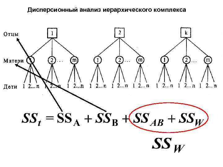 Дисперсионный анализ иерархического комплекса 