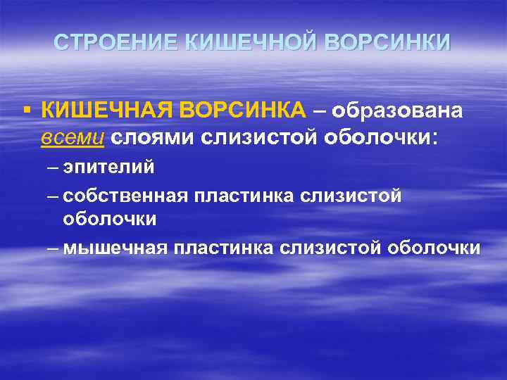 СТРОЕНИЕ КИШЕЧНОЙ ВОРСИНКИ § КИШЕЧНАЯ ВОРСИНКА – образована  всеми слоями слизистой оболочки: