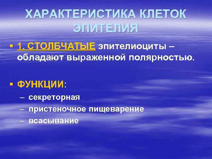  ХАРАКТЕРИСТИКА КЛЕТОК  ЭПИТЕЛИЯ § 1. СТОЛБЧАТЫЕ эпителиоциты –  обладают выраженной полярностью.