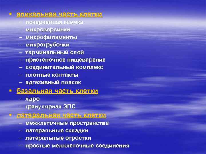 § апикальная часть клетки  –  исчерченная каемка  –  микроворсинки 
