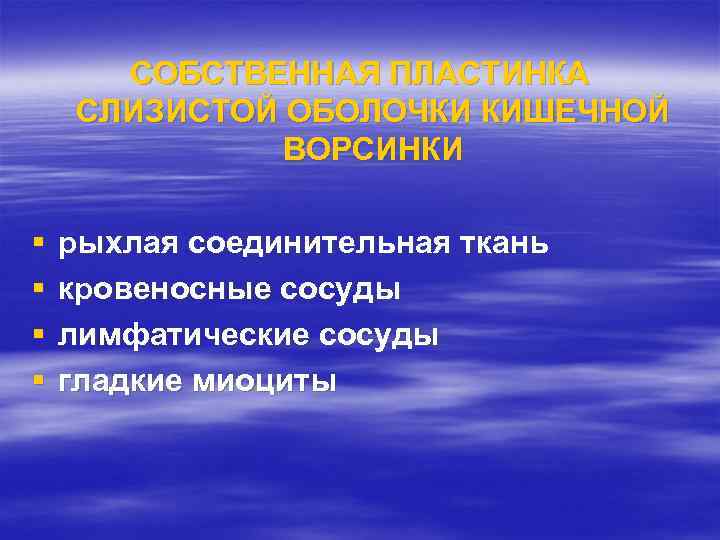   СОБСТВЕННАЯ ПЛАСТИНКА СЛИЗИСТОЙ ОБОЛОЧКИ КИШЕЧНОЙ    ВОРСИНКИ §  рыхлая