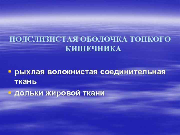 ПОДСЛИЗИСТАЯ ОБОЛОЧКА ТОНКОГО  КИШЕЧНИКА § рыхлая волокнистая соединительная  ткань § дольки жировой
