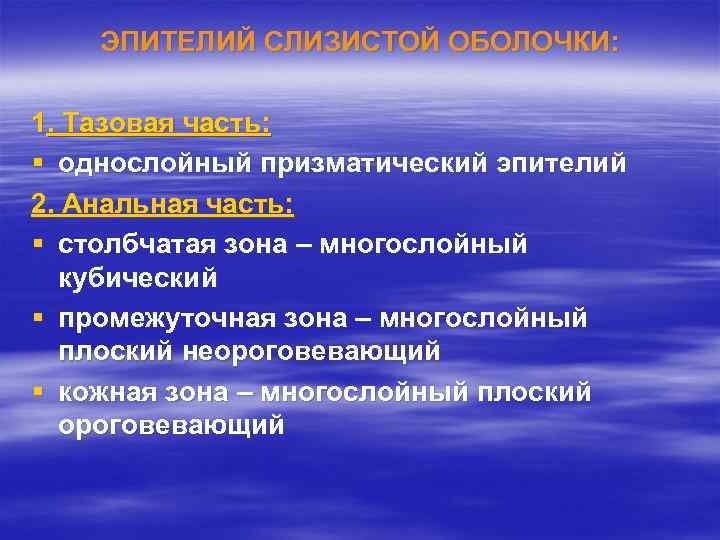   ЭПИТЕЛИЙ СЛИЗИСТОЙ ОБОЛОЧКИ:  1. Тазовая часть: § однослойный призматический эпителий 2.