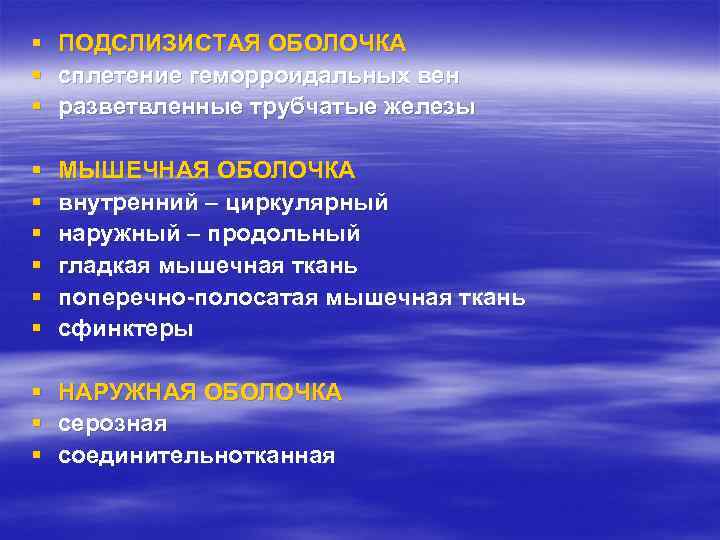 §  ПОДСЛИЗИСТАЯ ОБОЛОЧКА §  сплетение геморроидальных вен §  разветвленные трубчатые железы
