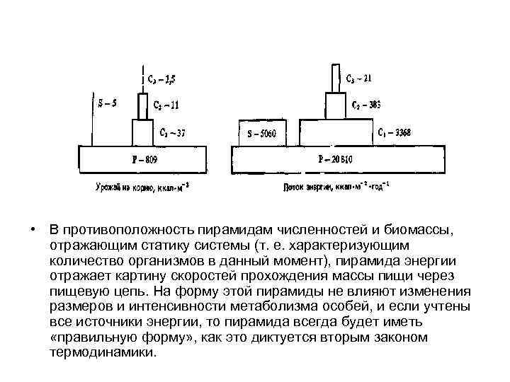  • В противоположность пирамидам численностей и биомассы,  отражающим статику системы (т. е.