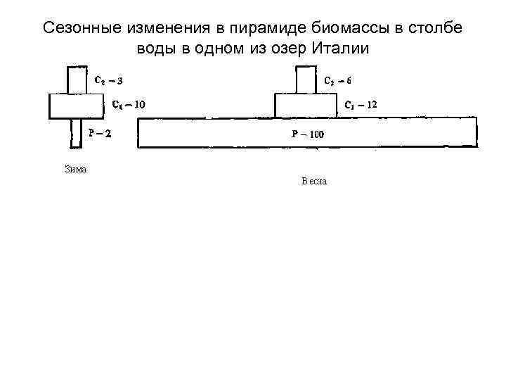 Сезонные изменения в пирамиде биомассы в столбе  воды в одном из озер Италии
