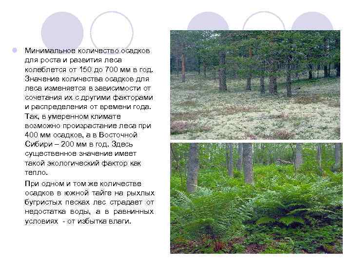 l Минимальное количество осадков  для роста и развития леса  колеблется от 150