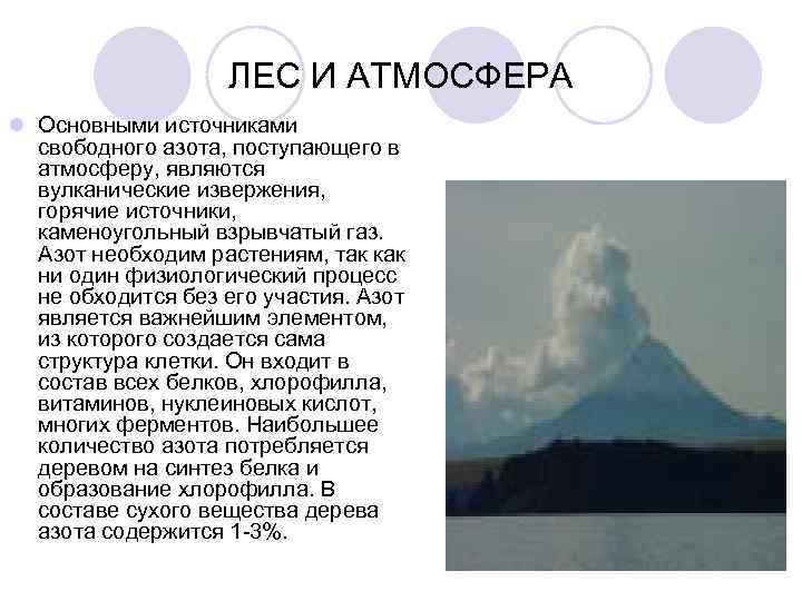     ЛЕС И АТМОСФЕРА l Основными источниками  свободного азота, поступающего