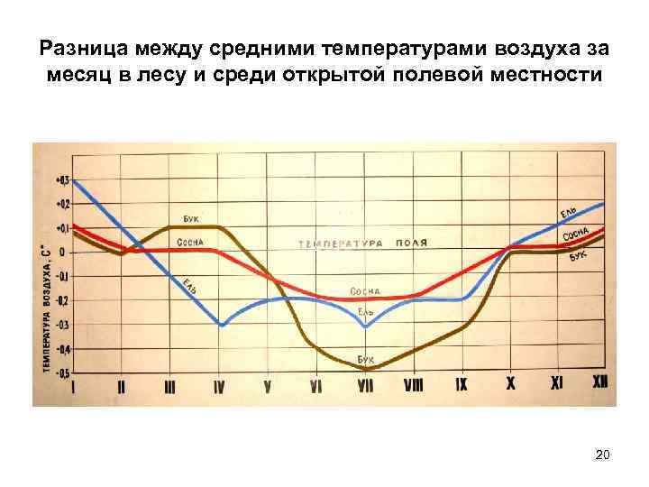 Разница между средними температурами воздуха за месяц в лесу и среди открытой полевой местности