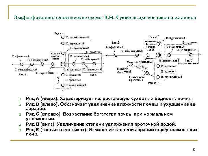 Эдафо фитоценотическая схема сукачева