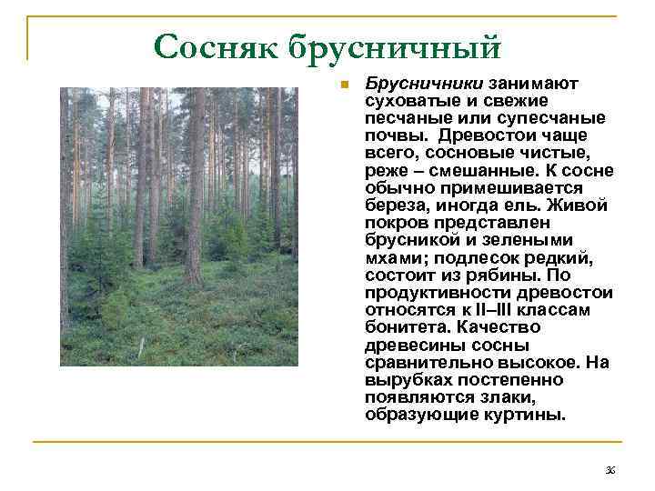 Сосняк брусничный   n  Брусничники занимают   суховатые и свежие 