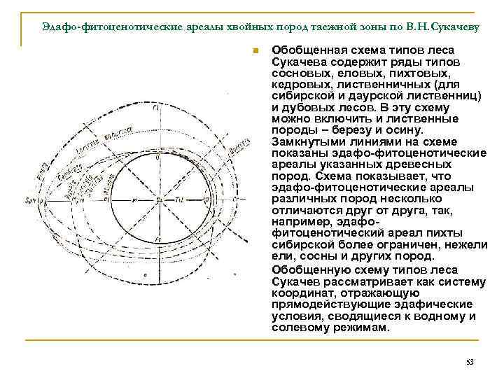 Эдафо фитоценотическая схема сукачева