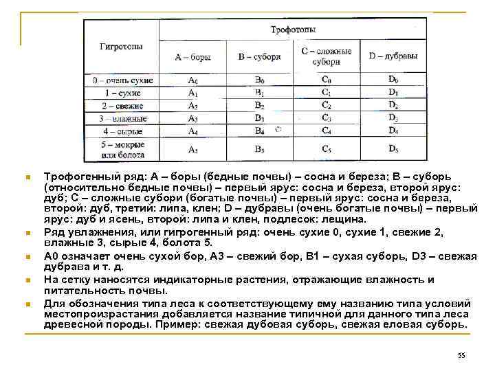 n  Трофогенный ряд: А – боры (бедные почвы) – сосна и береза; В
