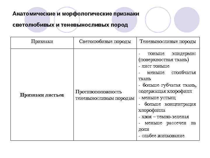 Письменный стол морфологические признаки