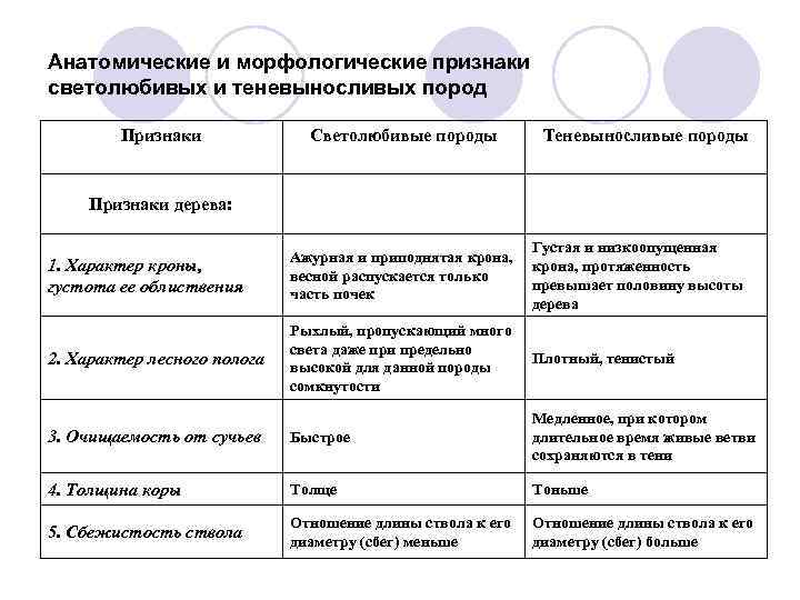 Необычные морфологические признаки