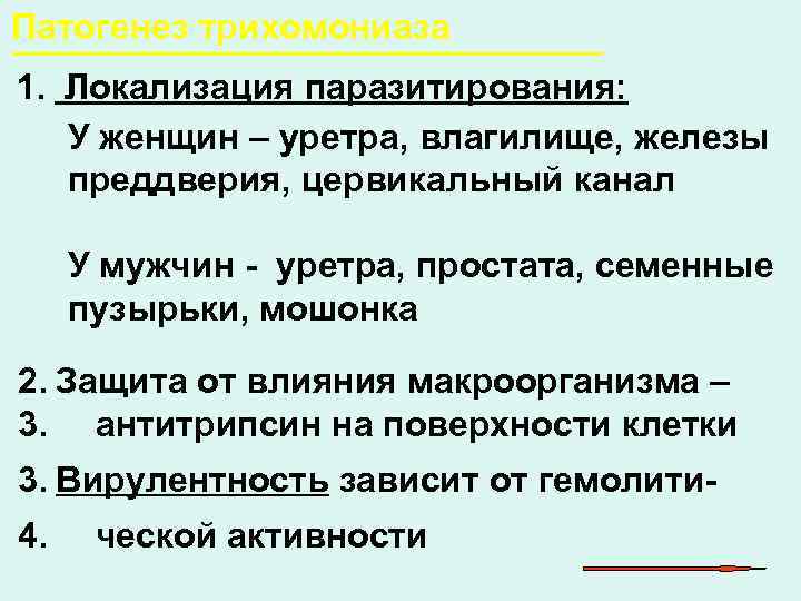 Патогенез трихомониаза 1. Локализация паразитирования: У женщин – уретра, влагилище, железы  преддверия, цервикальный