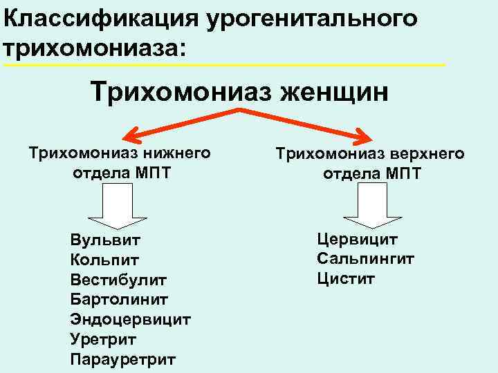 Классификация урогенитального трихомониаза:   Трихомониаз женщин  Трихомониаз нижнего  Трихомониаз верхнего отдела