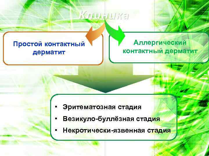 Клиника Простой контактный дерматит Аллергический контактный дерматит • Эритематозная стадия • Везикуло-буллёзная стадия •