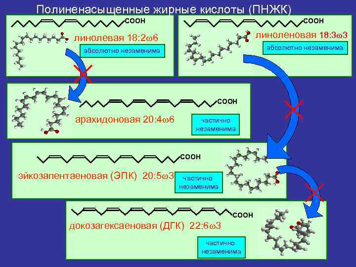 Источники 3 жирных кислот