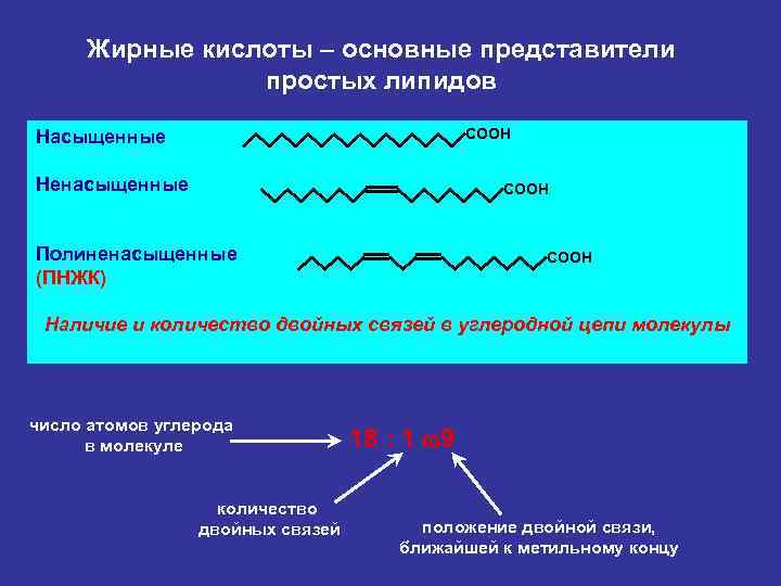 Полиненасыщенные жирные кислоты какие