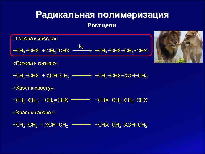    Радикальная полимеризация      Рост цепи  «Голова