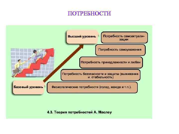 ПОТРЕБНОСТИ 