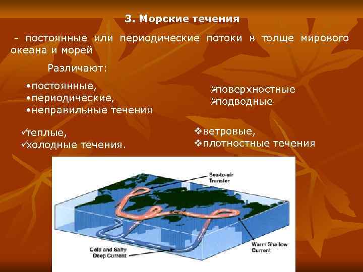     3. Морские течения - постоянные или периодические потоки в толще