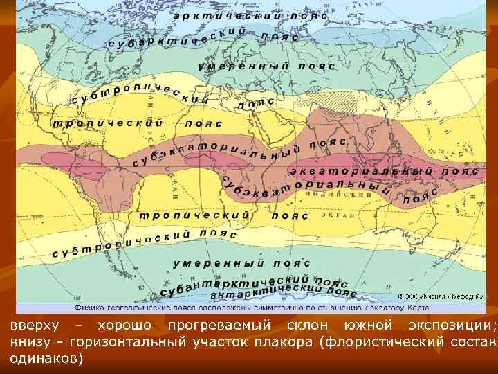 вверху - хорошо прогреваемый склон южной экспозиции; внизу - горизонтальный участок плакора (флористический состав