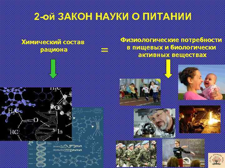 2 -ой ЗАКОН НАУКИ О ПИТАНИИ Химический состав рациона = Физиологические потребности в пищевых