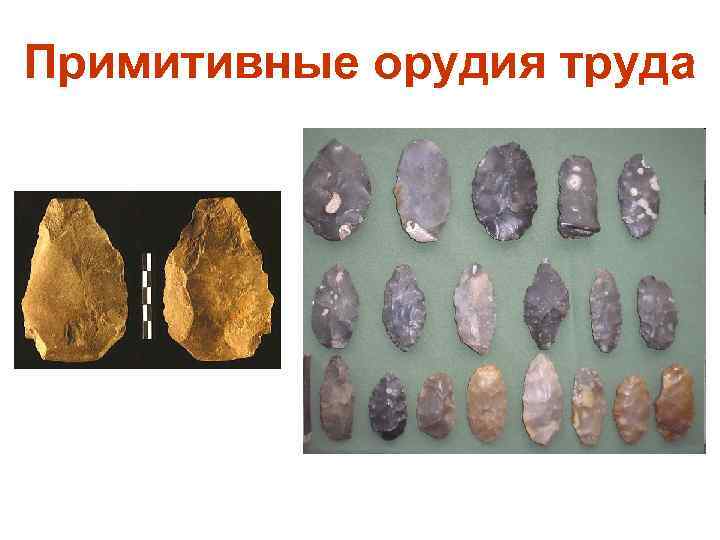 Примитивные орудия труда 