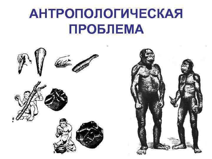 АНТРОПОЛОГИЧЕСКАЯ ПРОБЛЕМА 