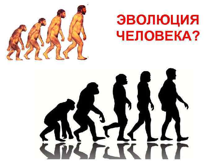 ЭВОЛЮЦИЯ ЧЕЛОВЕКА? 